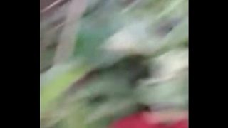 झाड़ियो मे देसी बड़े बूब्स का वीडियो बनाया